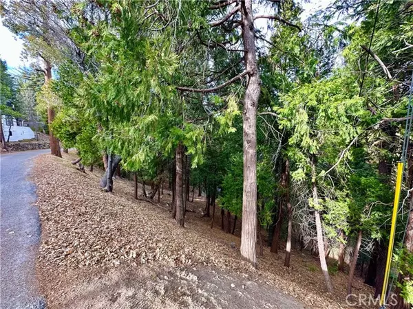 291 Hillside RD, Lake Arrowhead, CA 92352