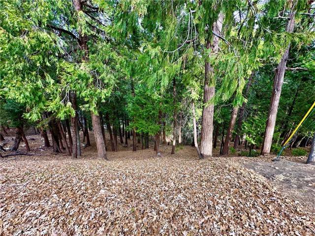 Lake Arrowhead, CA 92352,291 Hillside RD