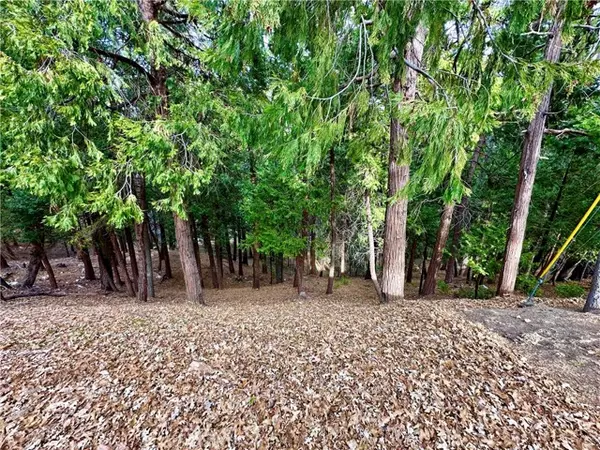 Lake Arrowhead, CA 92352,291 Hillside RD