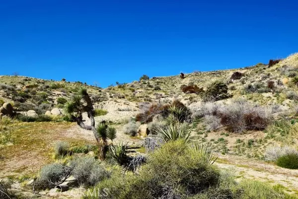 Yucca Valley, CA 92284,5996 Buena Suerte RD