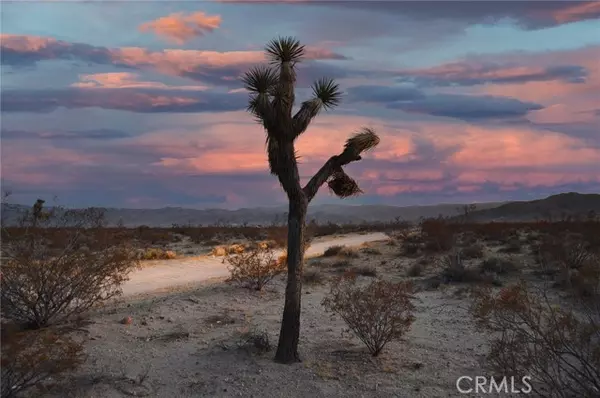 Joshua Tree, CA 92252,6130 La Brisa DR