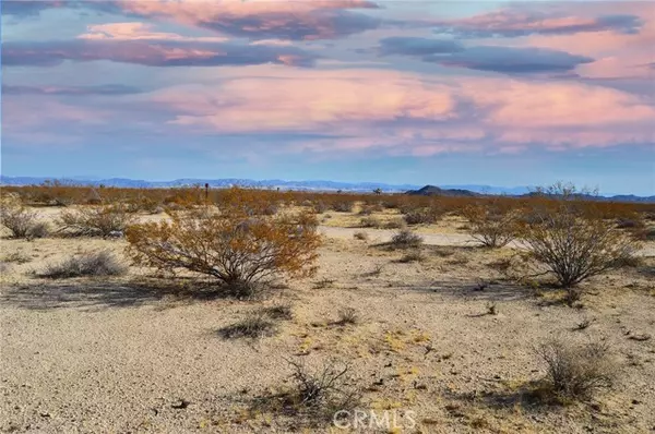 Joshua Tree, CA 92252,6130 La Brisa DR