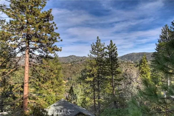 Crestline, CA 92325,135 Wylerhorn DR