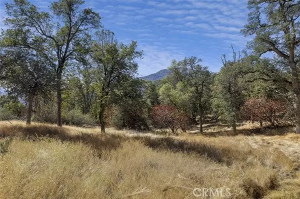 Oakhurst, CA 93644,0 39.29 AC Village DR