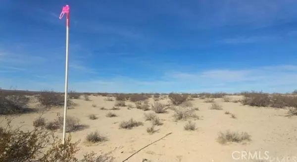 40 AC Near Diagonal TRL, Helendale, CA 92342