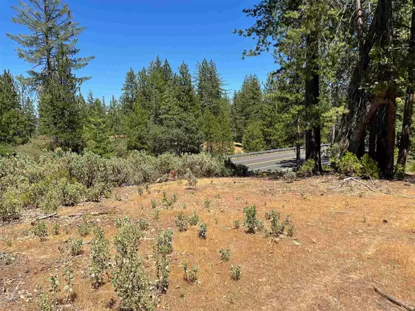 Groveland, CA 95321,Hwy 120