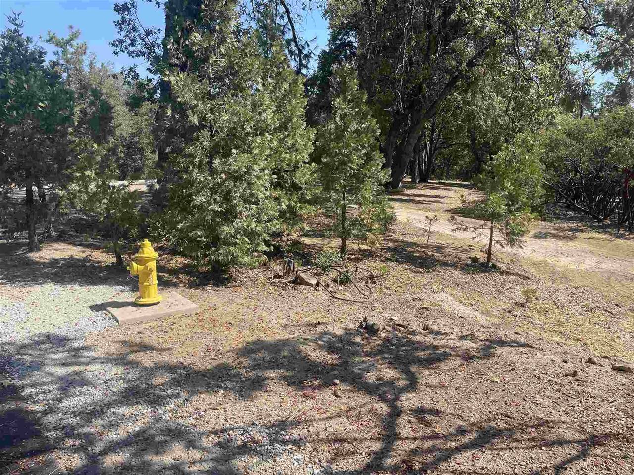 Sonora, CA 95370,22919 Lazy Z LN