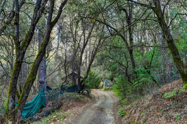 21901 Marcus Ln, Sonora, CA 95370