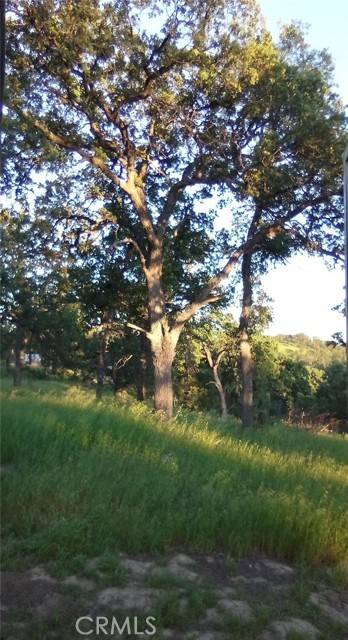 Corning, CA 96021,17065 Fawn LN