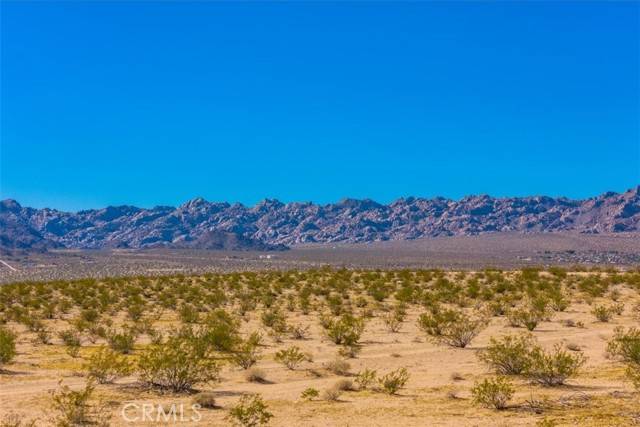Twentynine Palms, CA 92277,70147 Cove View RD