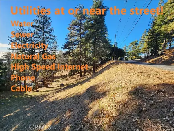 Running Springs, CA 92382,30696 Ferndale DR