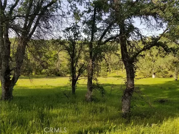 Oroville, CA 95966,0 Bethridge RD