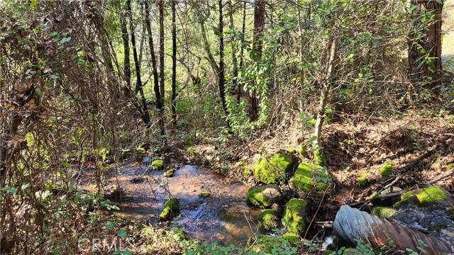 Dobbins, CA 95935,14550 Merriam RD