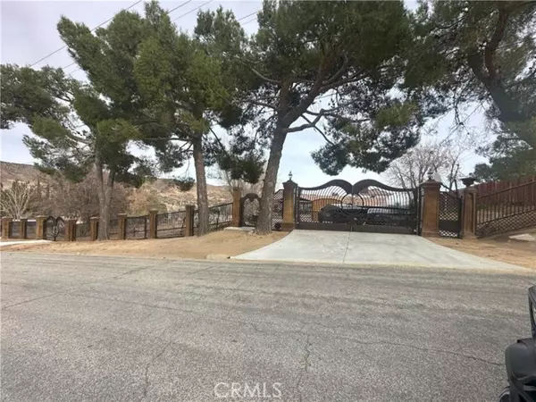 39954 90th ST, Leona Valley, CA 93551