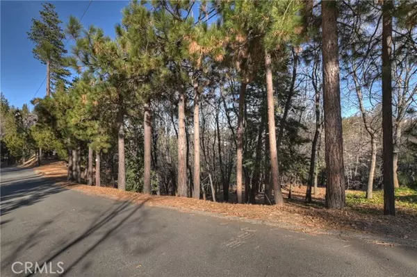 Lake Arrowhead, CA 92352,0 Lucerne LN