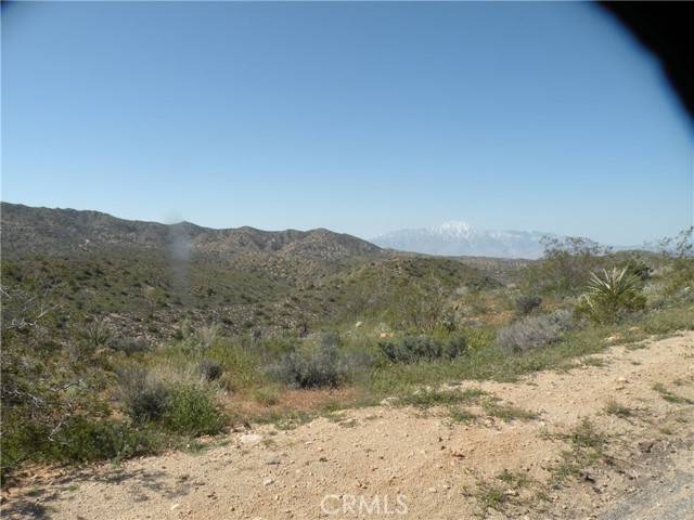 Yucca Valley, CA 92284,54595 Navajo TRL