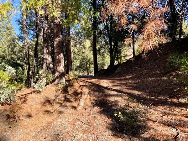 50963 Chu Ranch RD, Oakhurst, CA 93644