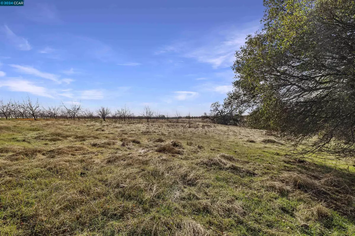 Oroville, CA 95965,1 Pacific HTS