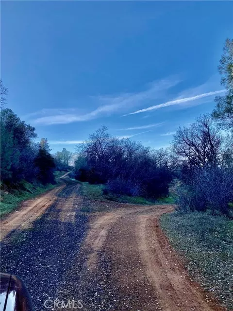 Coulterville, CA 95311,10662 Penon Blanco Lookout RD