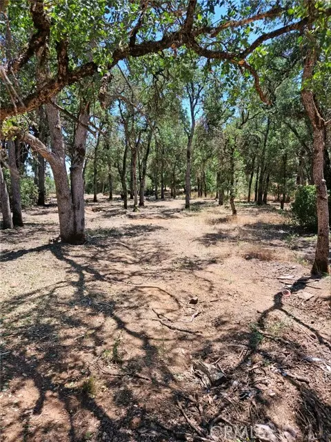 Clearlake, CA 95422,16288 12th AVE