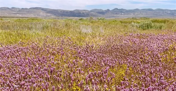 Santa Margarita, CA 93453,13721 Courtland RD