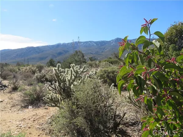 Mountain Center, CA 92561,155 Lot #155 Buckthorn