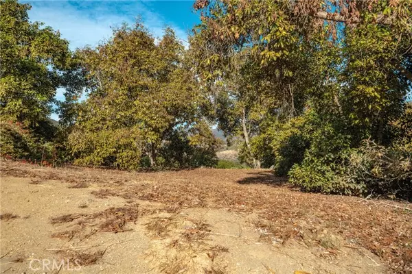 Valley Center, CA 92082,48 Pauma Ridge RD
