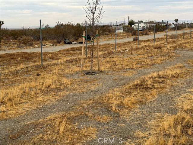 Phelan, CA 92371,3185 Olivera RD