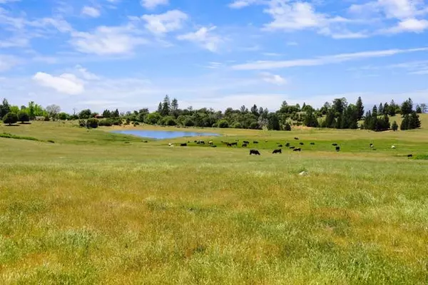 3510 Deer Lake Park RD, Julian, CA 92036