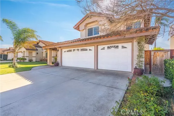 Rancho Santa Margarita, CA 92688,16 Sarracenia