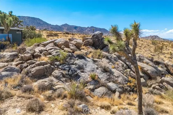 Joshua Tree, CA 92252,62676 Quail Springs RD