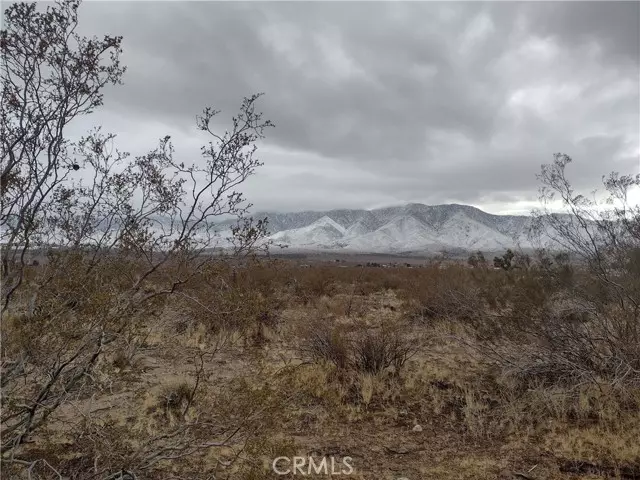 10 Banta RD, Lucerne Valley, CA 92356