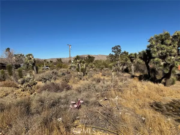 Yucca Valley, CA 92284,56434 Desert Gold DR