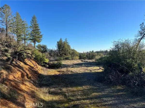 Oroville, CA 95965,3460 Skycrest DR