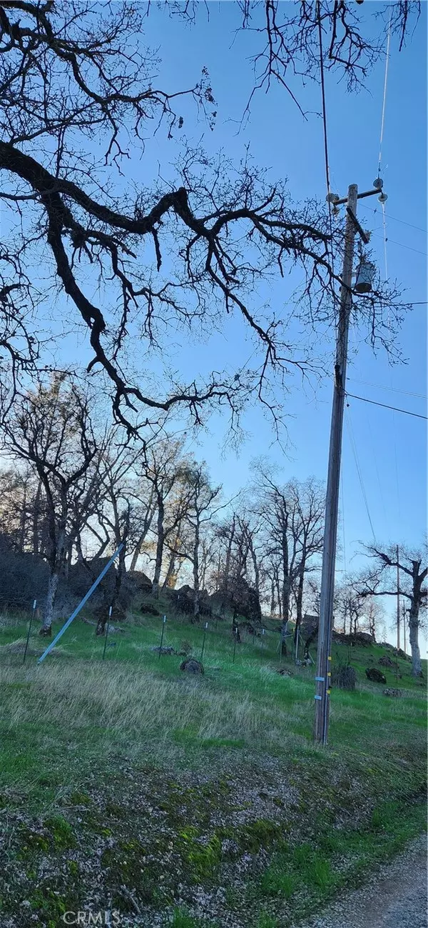 Bangor, CA 95901,0 Sunny Hills RD