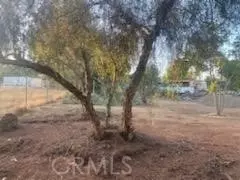 Hemet, CA 92545,33646 Old State Hwy