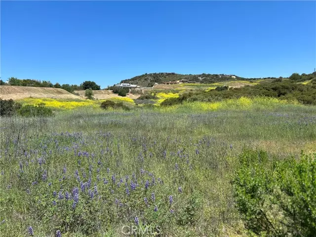 24201 Mulholland HWY, Calabasas, CA 91302