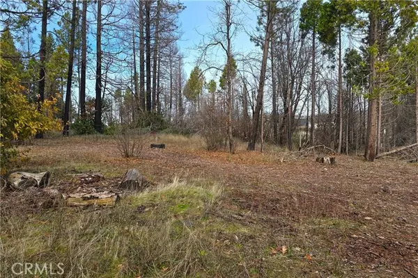 Berry Creek, CA 95916,35 Sugar Pine DR