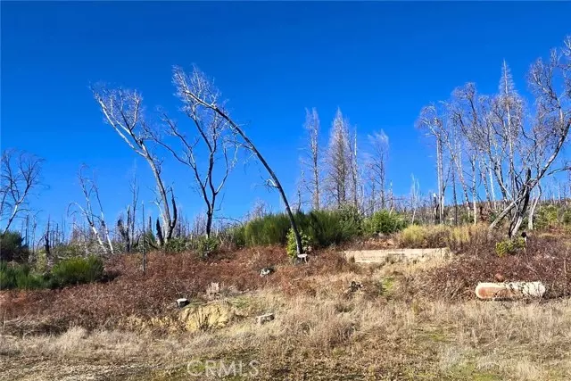 89 Meadow LN, Berry Creek, CA 95916