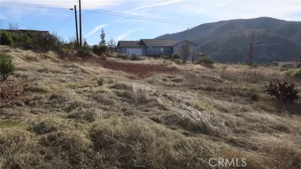 Cobb, CA 95426,15520 Sugar Pine DR