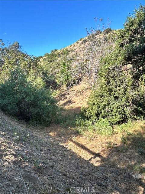 Sunland, CA 91040,9611 Wornom AVE