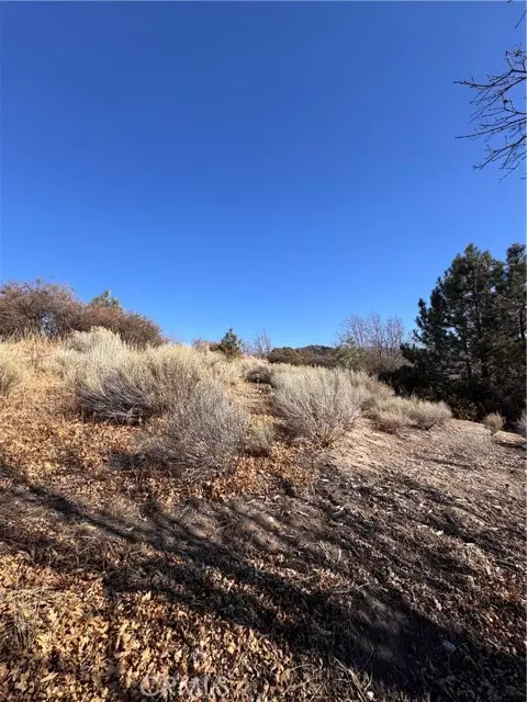 Cedar Glen, CA 92321,29685 Hickory DR