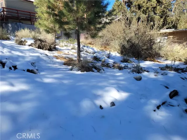 Wrightwood, CA 92397,0 Blackbird