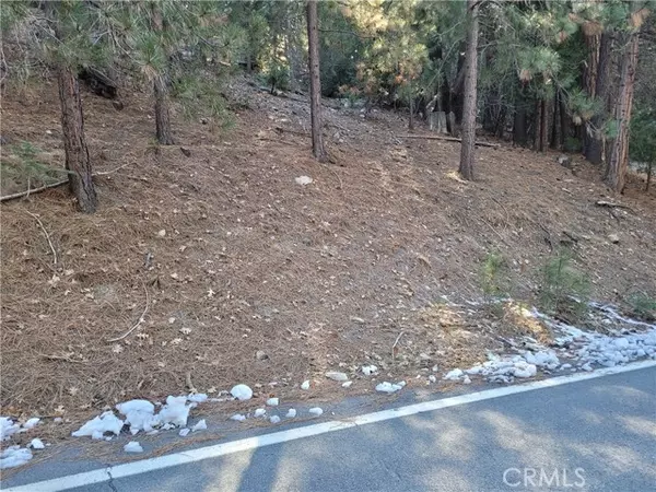 Lake Arrowhead, CA 92352,0 Brentwood DR