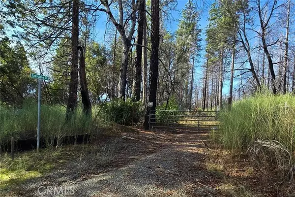 Berry Creek, CA 95916,28 Graystone LN