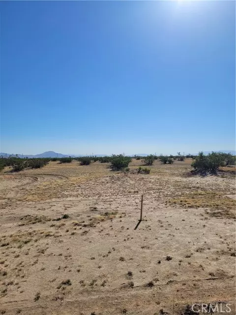 Adelanto, CA 92301,800 Vinton RD