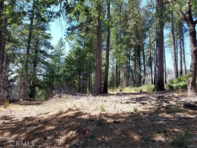16102 Sugar Pine Ridge RD, Cobb, CA 95426