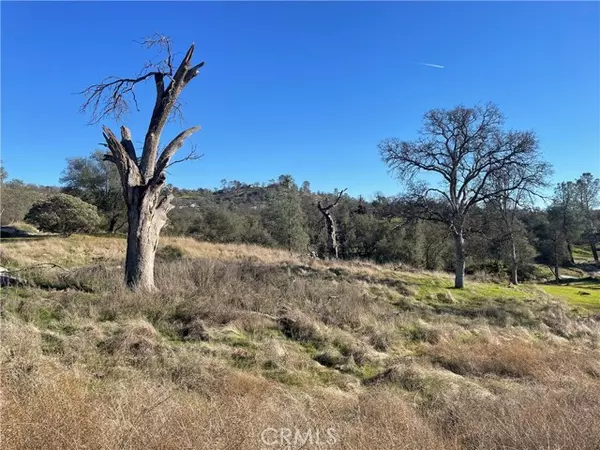 Coarsegold, CA 93614,741 lot Long Hollow DR