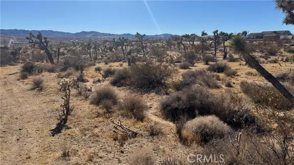 Yucca Valley, CA 92284,0 Yucca Mess