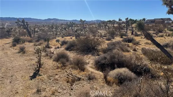 Yucca Valley, CA 92284,0 Yucca Mess